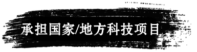 承担国家/地方科技项目